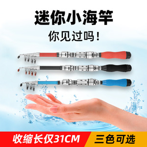 Mini Sea Rod 31cm Telescopic Ultra-light Surf Fishing Rod For Saltwater Fish Multi-Use - Product Image 4