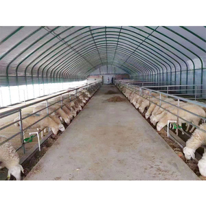 Nhà Máy Bán Buôn Chăn nuôi nơi trú ẩn thép prefab bò đổ đúc sẵn nhà Lợn để bán Coop cừu Coop sử dụng - Product Image 6