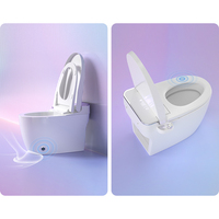 Toilet Pintar dengan Layar Tampilan Tersembunyi di Belakang, Dibaca dari Atas, Bukan Menghadap Depan. Tanyakan Apakah Kaca Miring. Proyek Hotel.
