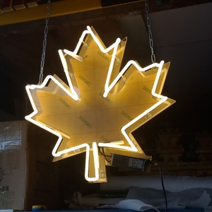 Insegna Luminosa Digitale Signvia per Firma Elettronica di Documenti Immobiliari con Display LED Neon (Statico/Lampeggiante/ Scorrevole) - Product Image 3