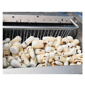 Hot Sale 500kg er Stunde Cassava <span class=keywords><strong>Peeling</strong></span> und Waschmaschine Kartoffel bürste Waschmaschine Yam Kartoffel schälmaschine - Product Image 5