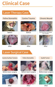 Lápiz de Terapia Láser de Bajo Nivel Kanistar MAX-VL2, Terapia Biod con Láser Frío, Longitud de Onda de 650-980 nm, Alivio del Dolor, Equipo Veterinario - Product Image 2