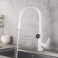 VENTE FLASH Robinet de cuisine intelligent à affichage numérique moderne avec éclairage LED, poignée unique, finition brossée, laiton, céramique