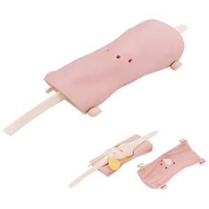 Modello Anatomico per Artroscopia del Ginocchio per Formazione in Scienze Mediche - Product Image 1