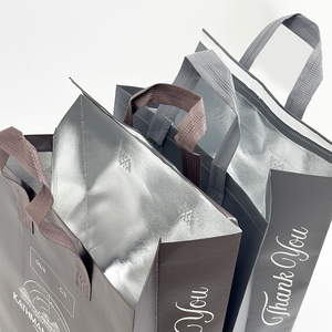 Sac isotherme en non-tissé laminé pour la vente en gros, idéal pour le thé au lait, le café, les gâteaux, la crème glacée et les plats à emporter - Product Image 2