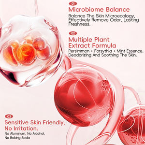 <span class=keywords><strong>Crema</strong></span> <span class=keywords><strong>desodorante</strong></span> Microbiome <span class=keywords><strong>Balance</strong></span> OEM/ODM, sin aluminio, calmante para la piel y frescura duradera con esencias vegetales - Product Image 4