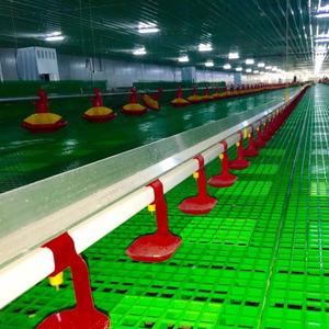 Sistema de bebedero automático para aves de corral, tipo <span class=keywords><strong>Plasson</strong></span> y Lubing - Product Image 5