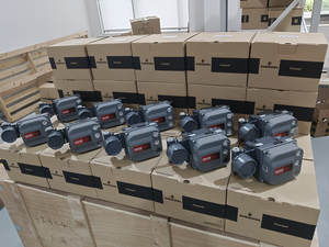 Localisateur intelligent série DVC avec interrupteur de fin de course Topworx TXPP2CGLMM000R Solenoid - Product Image 5