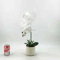 Мини Зеленые растения Real Touch, керамический горшок, искусственные орхидеи