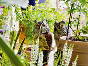 Jardin Plastique Jardin Effrayer les <span class=keywords><strong>oiseaux</strong></span> Décoration animale Mobile ScareCrow Simulation Hibou - Product Image 6