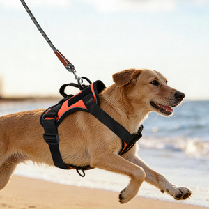 Nouveau <span class=keywords><strong>Harnais</strong></span> de Sport Réfléchissant Personnalisé pour <span class=keywords><strong>Chien</strong></span> avec 3 Patchs Amovibles, Tissu Oxford Ajustable et Doublure en Maille Respirante - Product Image 5