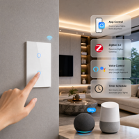 1 Gang ZigBee Smart Touch Switch, 600W Single Zero Fire, Relay Pengunci Magnetik, Kontrol Suara Tuya Smart Life Standar AS