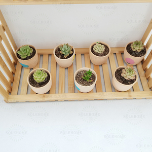 Support à plantes <span class=keywords><strong>en</strong></span> bambou écologique à 2 niveaux avec support pour plantes à fleurs à la maison et au jardin - Product Image 5