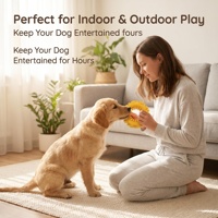 Jouet interactif pour chien en caoutchouc naturel, forme de pneu, durable, non toxique, fabriqué par Zhierde.