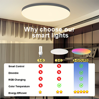 Smart RGB LED Plafonnier 220V/110V 13 pouces 24W Dimmable Lampe Alexa Home Remote Slim Mount Design Sensor WiFi Tuya