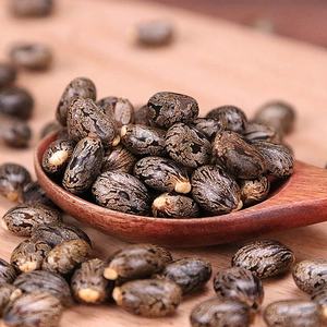 بي ما زي الخروع بذور الفول التوابل والأعشاب واحدة للبيع - Product Image 4