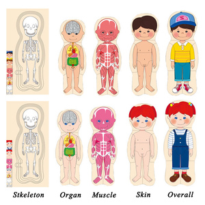 儿童益智玩具3D拼图木制男女身体部位，用于学习5至7岁的身体结构 - Product Image 4