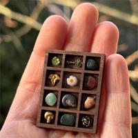 Mini Boîte de Présentation Gothique Vintage en Bois pour Échantillons, Petite Boîte à Ombres pour Cristaux, Coquillages et Minéraux, Boîte à Curiosités Naturelle Multi-compartiments Portable, Style Sorcière