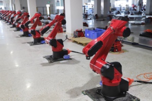 Robot de Agarre BORUNTE BRTIRUS2110A, 1 kW, 220V, Capacidad de 1000 kg, 235 kg - Product Image 3