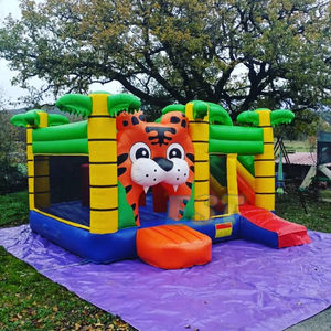 Çocuklar için slayt ve Blower zıplayan kale ile özel şişme oyun parkı şatosu <span class=keywords><strong>Tigger</strong></span> şişme sıçrama ev - Product Image 1