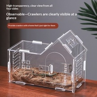 Boîte en acrylique pour reptiles, boîte d'élevage pour araignées, lézards, geckos, petit réservoir écologique, boîte de présentation transparente pour reptiles