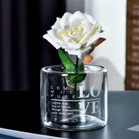 Groothandel glazen bloemenvaas, transparante rietdiffuserfles & glazen aromatherapiecontainer
