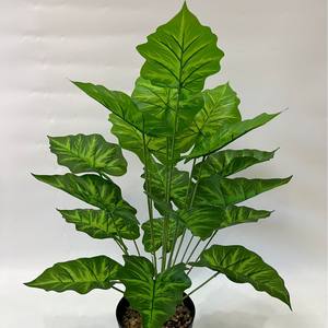 Piante Verdi Artificiali all'Ingrosso Direttamente dalle Fabbriche per Decorazione Casa e Ufficio - Product Image 3