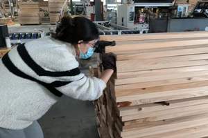 Profession elle Labor inspektions-, Prüf-und Zertifizierungs dienste für Holzwerk stoffe - Product Image 5