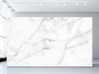 Plaques de surface solide Wiselink de 12 mm d'épaisseur, plaques de pierre acrylique, Staron surface solide, surface solide coréenne