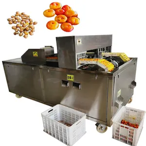 Full Automatic Plum Seed Pitting Machine Cherry Olive Core Removing Machine Hawthorn Apricot Prune Seed Pitter Machine