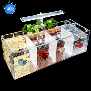 Modern 220V Betta Fish Tank Small Acrylic Desktop Incubator Isolation Box <strong>Water</strong>-Free Ecological <strong>Aquarium</strong> Plastic Breeding - Product Image 6