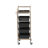 Équipement de beauté de luxe Chariot de salon pour équipement et produits de coiffure