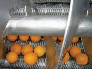 Machine automatique tout-en-un pour la fabrication de jus de fruits (mangue, pomme, <span class=keywords><strong>limonade</strong></span>) - Product Image 2