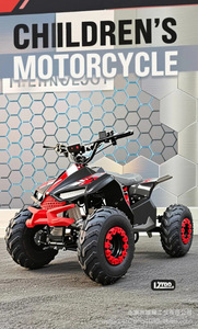 <span class=keywords><strong>Mini</strong></span> <span class=keywords><strong>moto</strong></span> tout-terrain XYPS 110cc 2 temps Little Falcon - Product Image 4