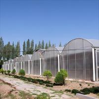 Invernadero Agrícola Comercial Grande de Múltiples Tramos, Cubierta de Lámina de Policarbonato Cuadrada, Estructura de Acero, Sistema Hidropónico