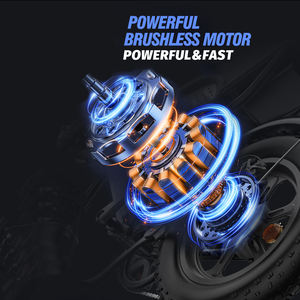 Ridstar Q16 16 Pollici Magazzino UE 48v 20Ah Bici Elettrica con Pneumatici Larghi Motore al Mozzo Bicicletta Elettrica da Montagna Ibrida per Bambini - Product Image 2