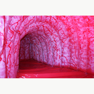 Modelo Anatómico Inflable Gigante <span class=keywords><strong>de</strong></span> Estómago en Tela Oxford para Exhibición Educativa sobre Salud Digestiva - Product Image 3