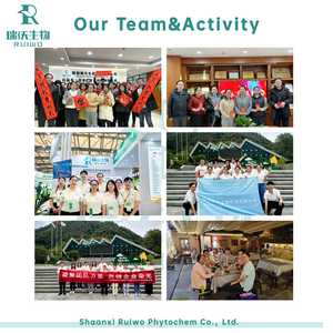 Großhändler für Hochwertiges Natürliches Henna-Pulver Schwarzes Henna-Pulver Henna für Nägel - Product Image 5