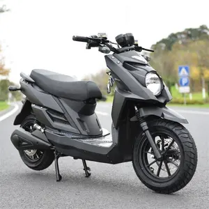 1000W 2 Wheel Adult Mobility Scooter Electric Moped With Pedals