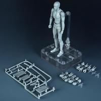 Modello di Corpo Articolato per Action Figure Maschile e Femminile, Tonalità di Pelle Multicolore, Riferimento per Disegno, Articolazioni Mobili