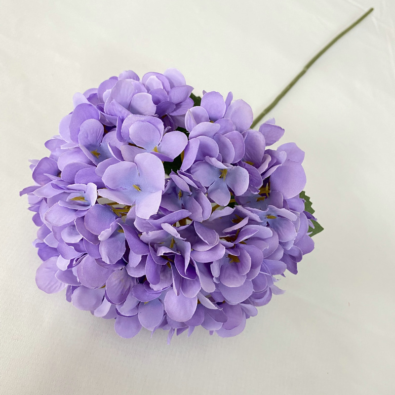 Deep purple