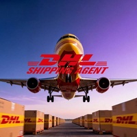 중국 화물 운송업체, 저렴한 물류 배송 제공, 이집트 방문 배송 서비스, DHL/UPS/FedEx 익스프레스를 통해 3-8일 소요