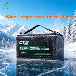 แบตเตอรี่ลิเธียมไอรอนฟอสเฟตแบบ Deep Cycle CTS 12.8V 25.6V 100Ah 200Ah สำหรับโซลาร์เซลล์ เรือ และโรงงาน ราคาโรงงาน - Product Image 3