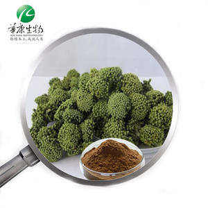 Bubuk Ekstrak Herbal Alami <span class=keywords><strong>Notoginseng</strong></span> dari Huakang Supply Health Food - Product Image 4