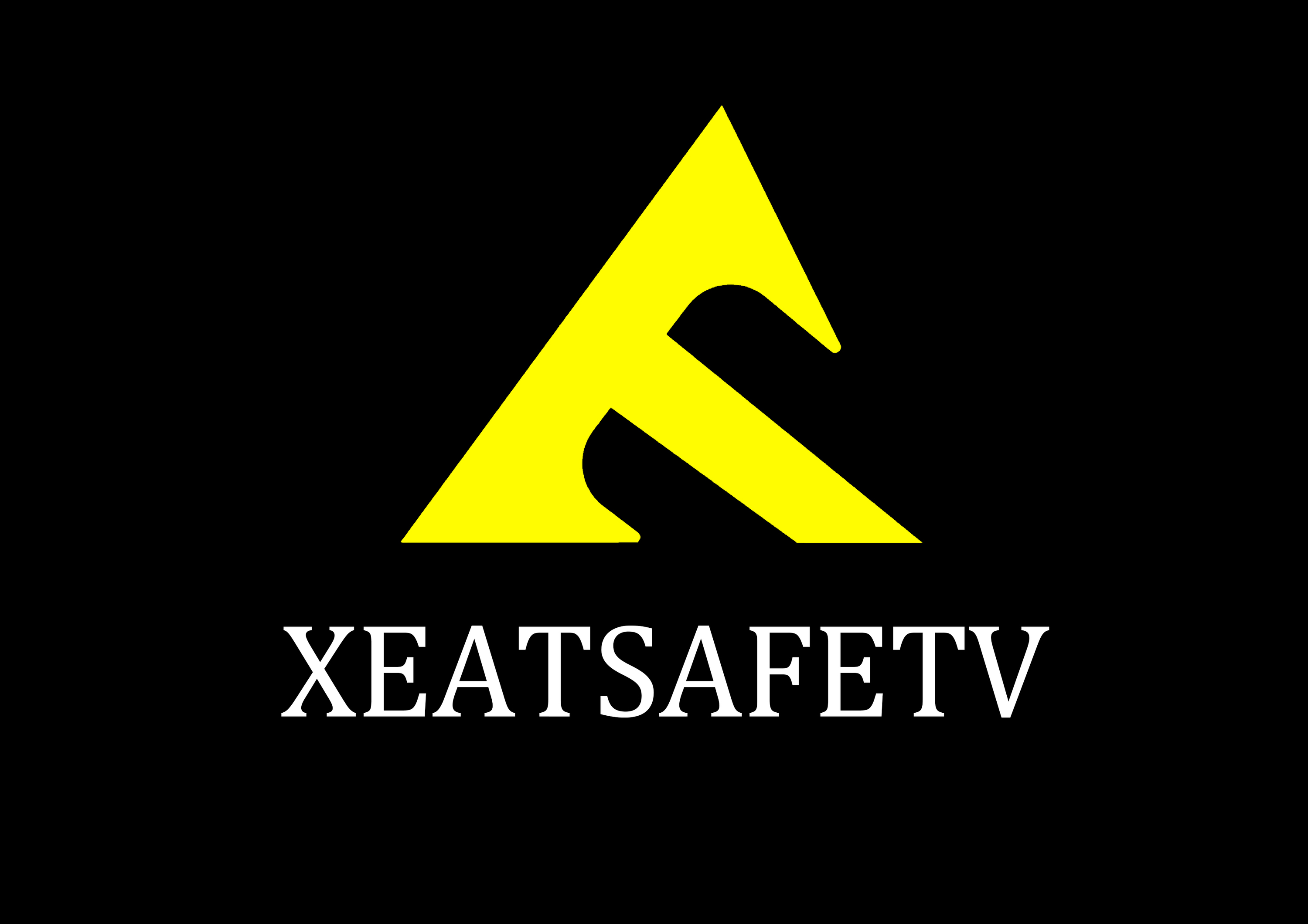 Xierte (Weifang) International Trade Co., Ltd. logo
