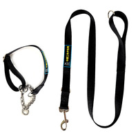 Laisse de dressage et de traction spéciale pour chien de grande taille, collier de base pour chien de travail