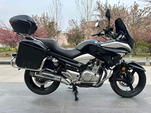 Suzuki Gw250 <span class=keywords><strong>Inazuma</strong></span>-250cc Motocicletta a Benzina Bicilindrica con Doppio Scarico, Raffreddamento a Liquido, EFI, Confortevole e Potente - Product Image 2