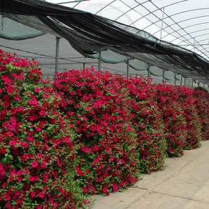 Macetas Altas de Plástico, Macetas Pequeñas de Plástico SOL para Proyectos de Paisajismo, Macetas de Plástico al por Mayor - Product Image 6