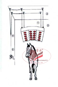 <span class=keywords><strong>Solarium</strong></span> de infrarrojos para caballos de grado veterinario: Equipo para acelerar la curación y la relajación muscular - Product Image 2