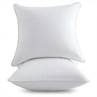 Coussins décoratifs carrés de 18 pouces, housse 100% coton 200TC, fermeture éclair, rembourrage polyester, blanc, pour canapé